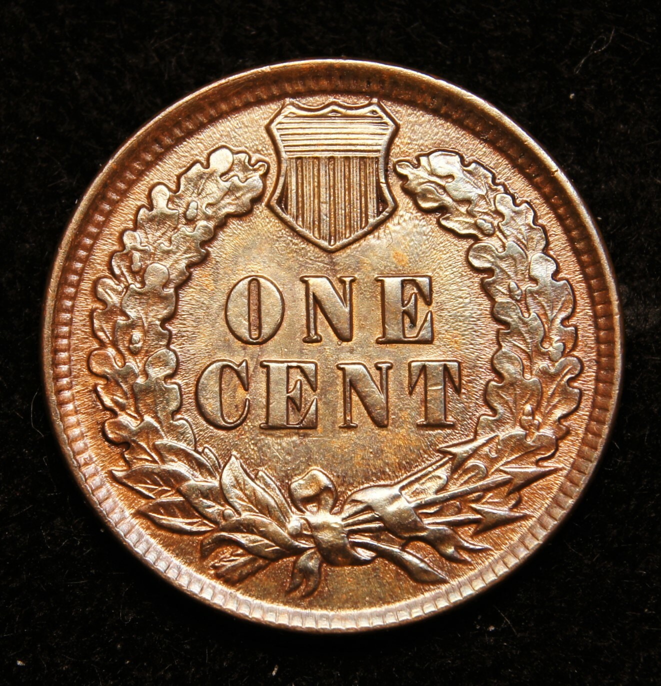 1898 Indian Head Cent MS+++Brown