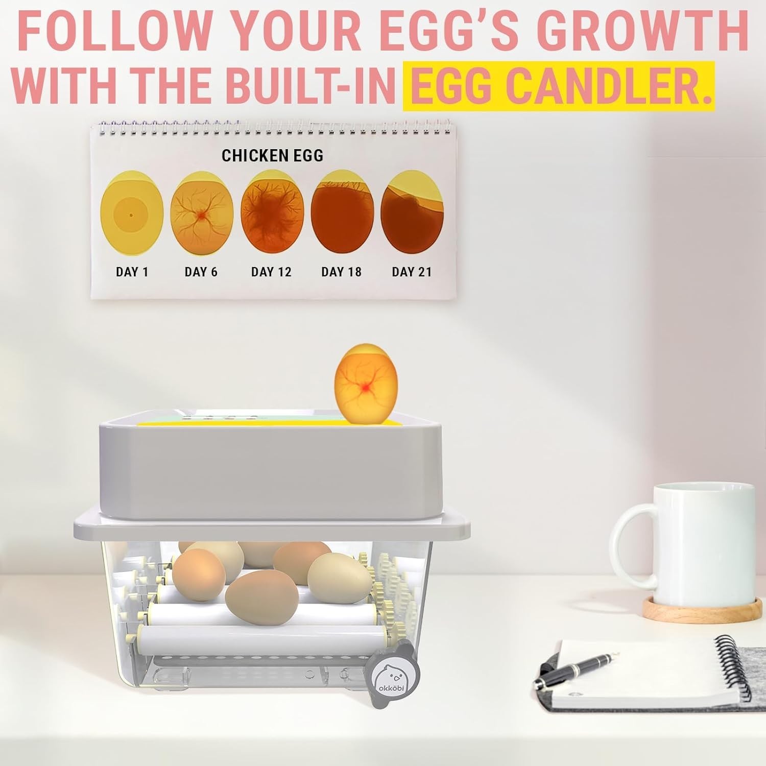 OBI-12 Egg Incubators for Hatching Eggs – Incubator for 12 Eggs with Automatic