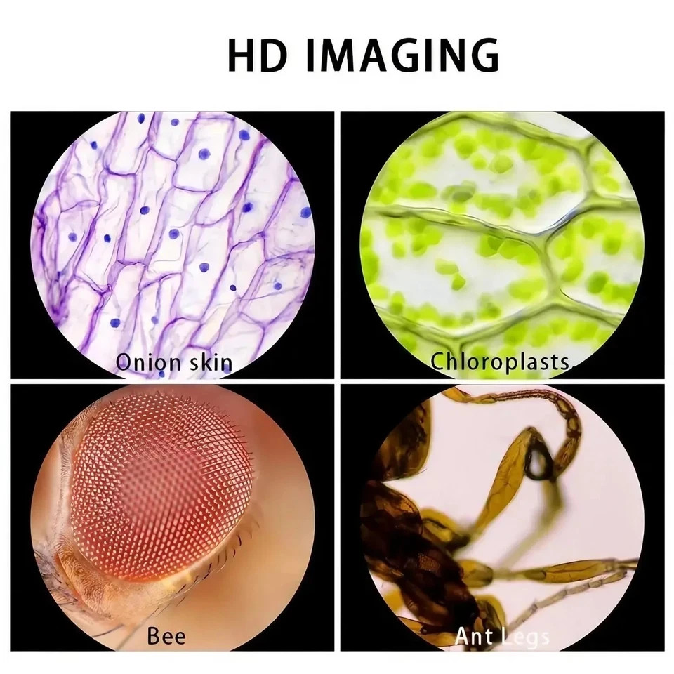 Handheld 60-100X Microscope Portable Science Tool for Students Field Research