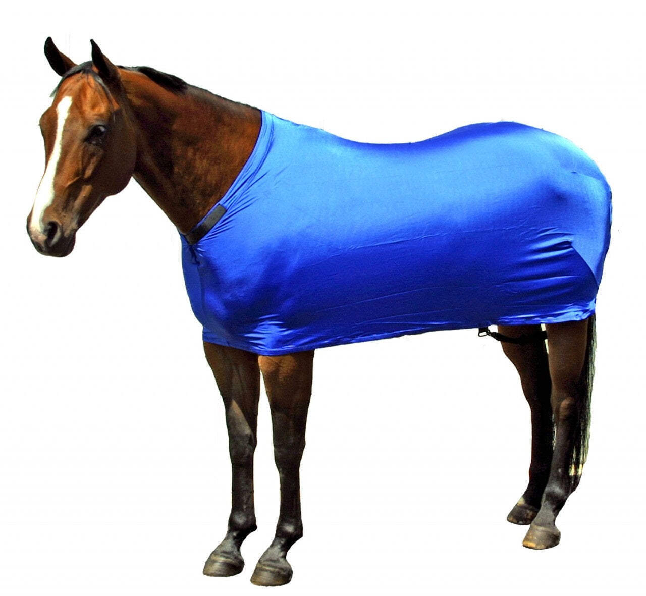 New! Sleazy Sleepwear MEDIUM HORSE STRETCH SHEET 72-76 inches 13 SOLID COLORS!