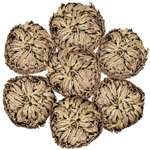 Rose of Jericho. You will receive 3 plants Free Shipping!