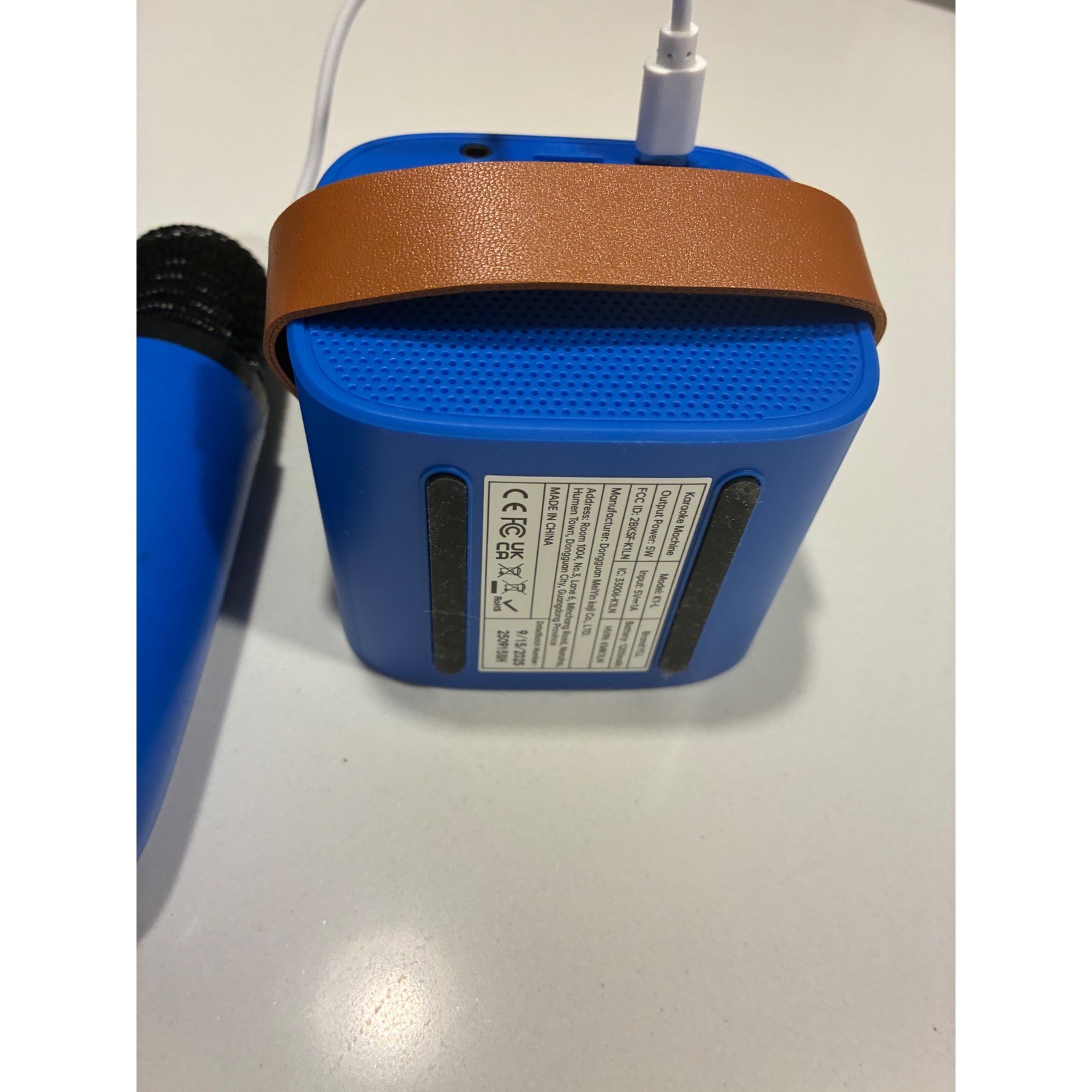 YLL Portable Karaoke Machine Speaker with 2 Wireless Microphones Rechargeable