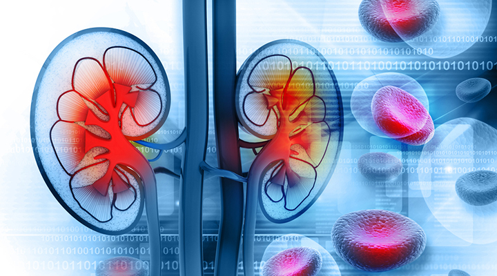 Kidney Flush - KIDNEY SUPPORT - Bladder Health - Kidney Boost - 2 B 120 Ct