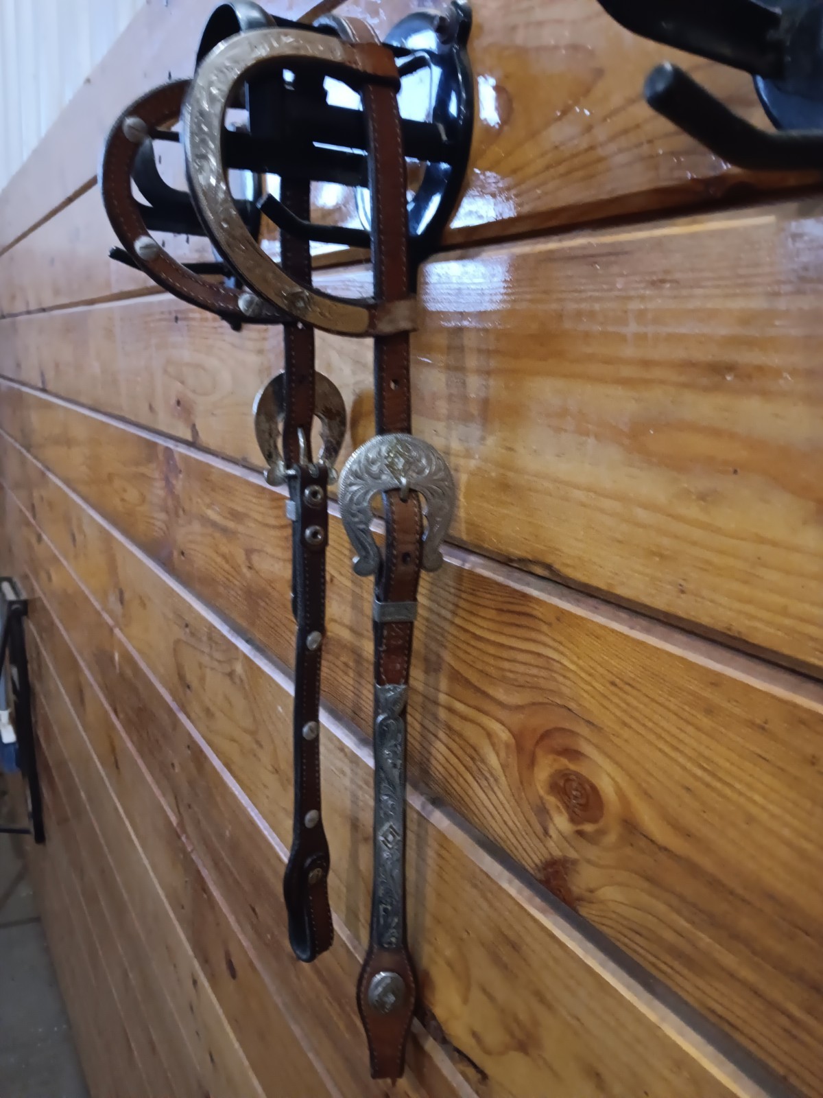 Circle Y Show Headstall