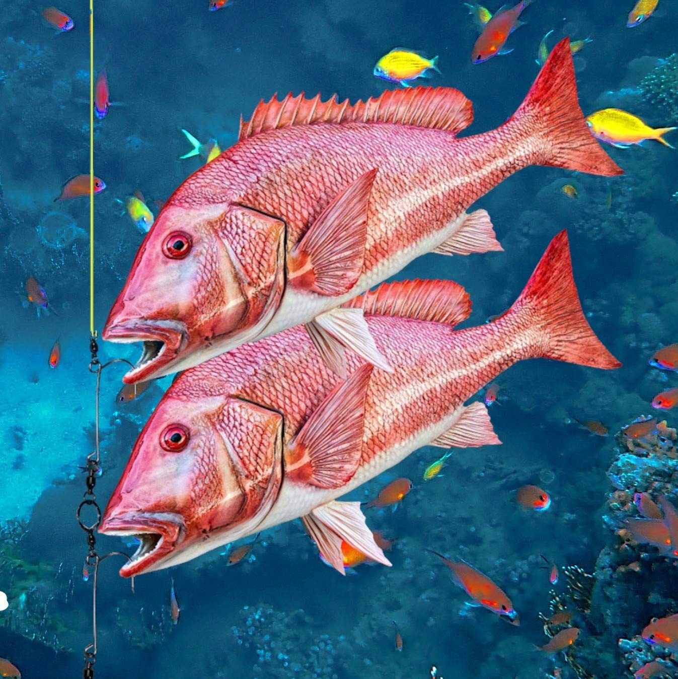 Compact Fish Descending Device - Reliable Release Tool for Red Snapper, NOAA Com