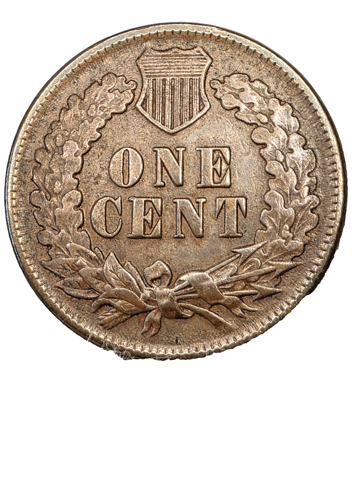 1889 Indian Head Cent * Rich Brown With Great Details