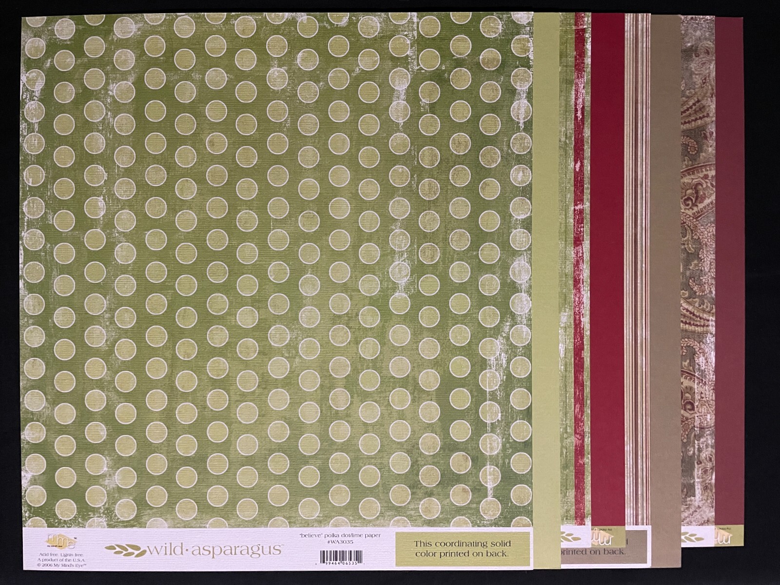 MME WILD ASPARAGUS CHRISTMAS "NOEL" AND "BELIEVE" 12X12 DS CARDSTOCK PAPERS