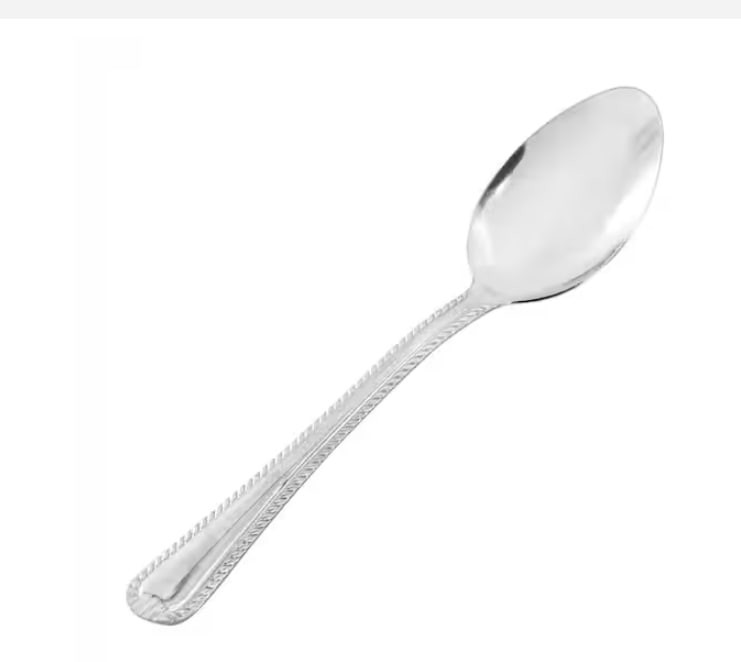 Tustin 6 Piece Stainless Steel Dinner Spoon Flatware Set in Silver