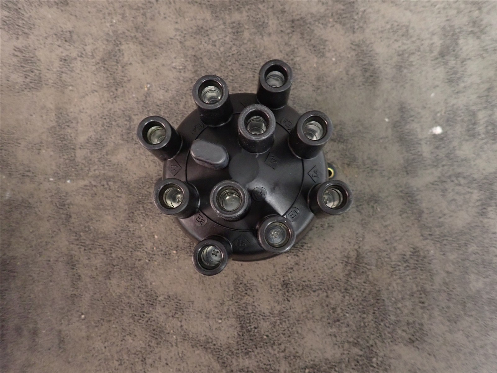 NEW WVE 5D1238 Distributor Cap (G217)