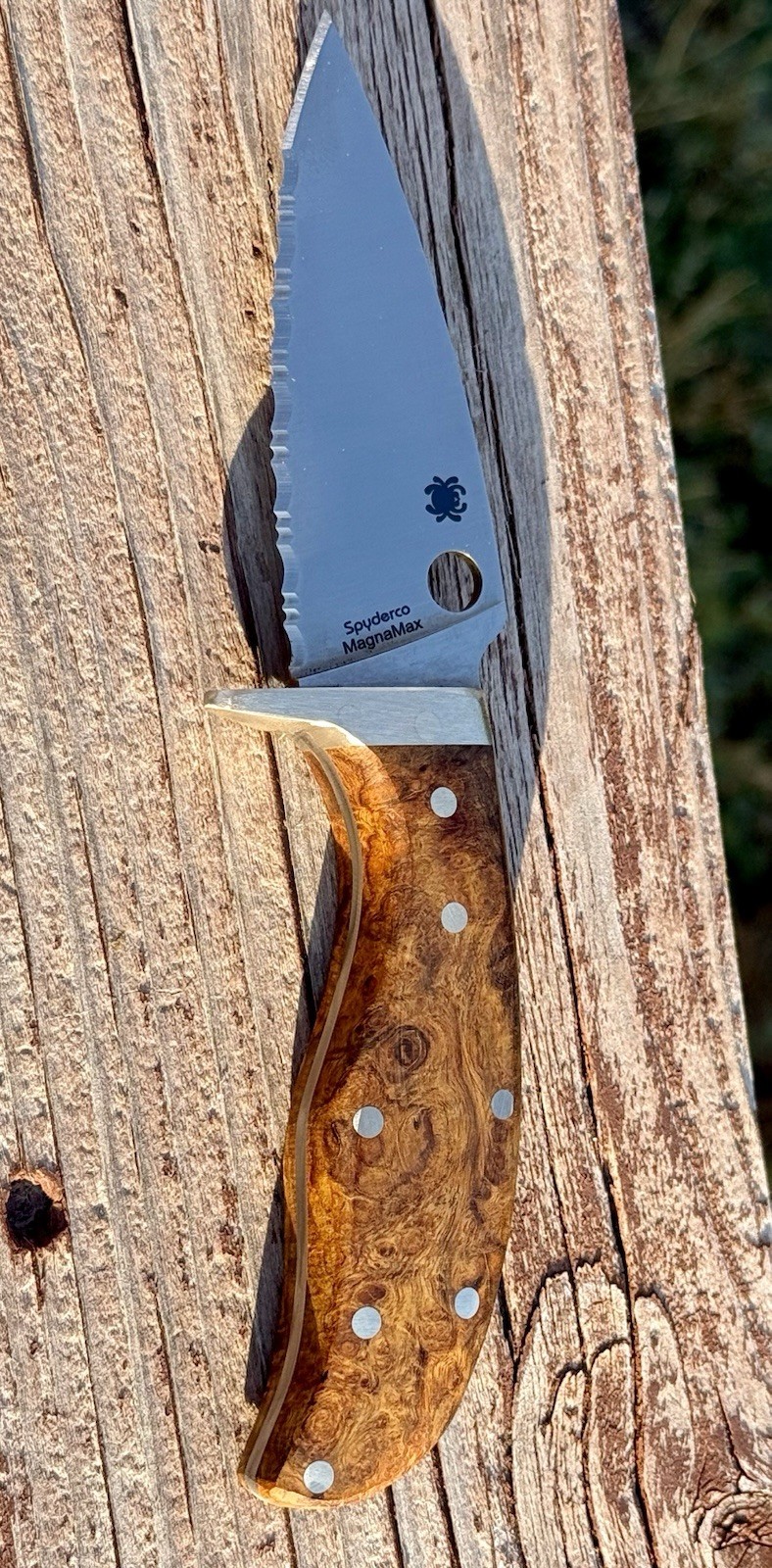 Spyderco Mule Team Magnamax Blade Like Magnacut Ironwood Custom Fixed Blade