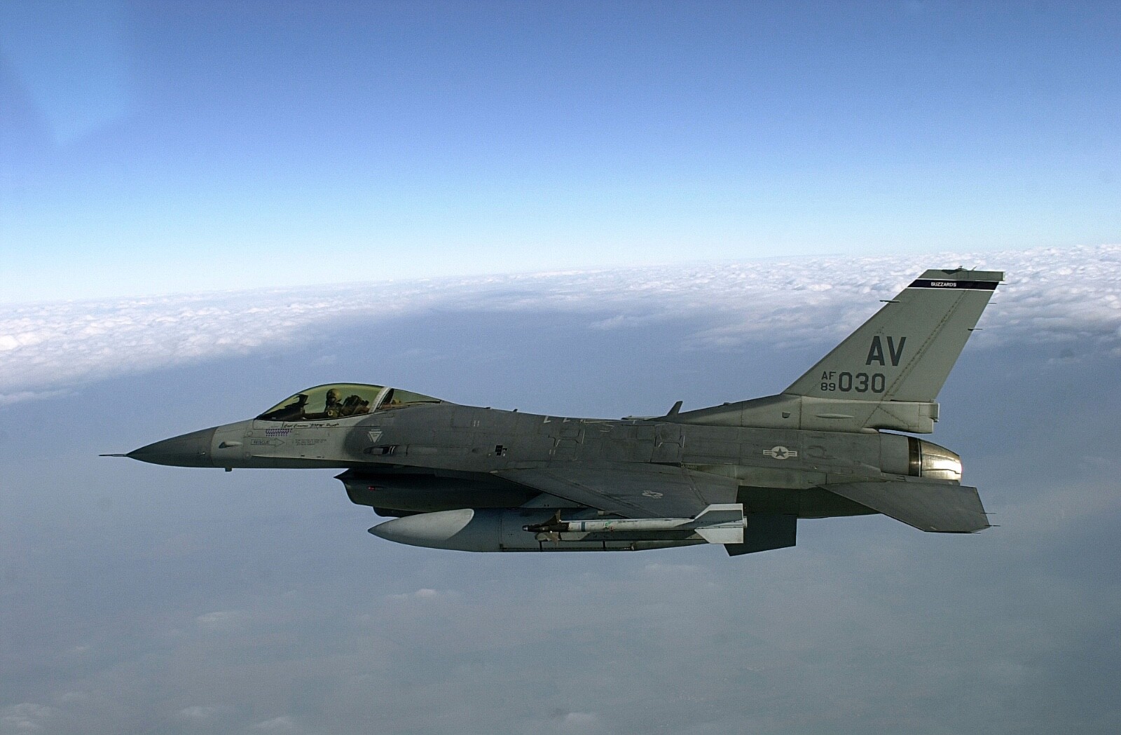 USAF F-16 Fighting Falcon Patch Viper