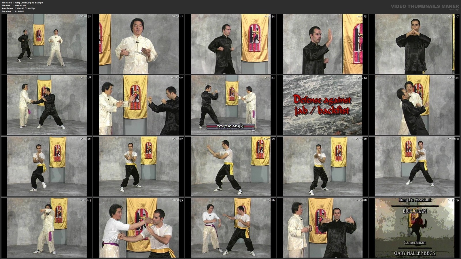 Wing Chun Kung Fu starring William Cheung (5 DVD Set)