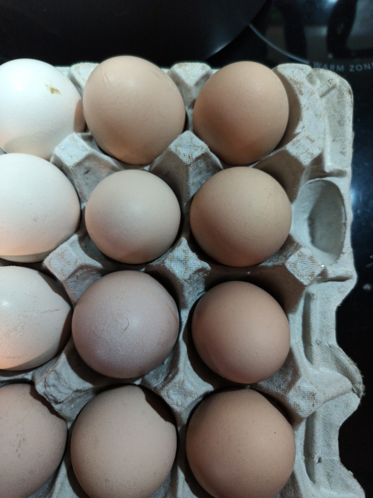 6+ Brown Hatching Eggs