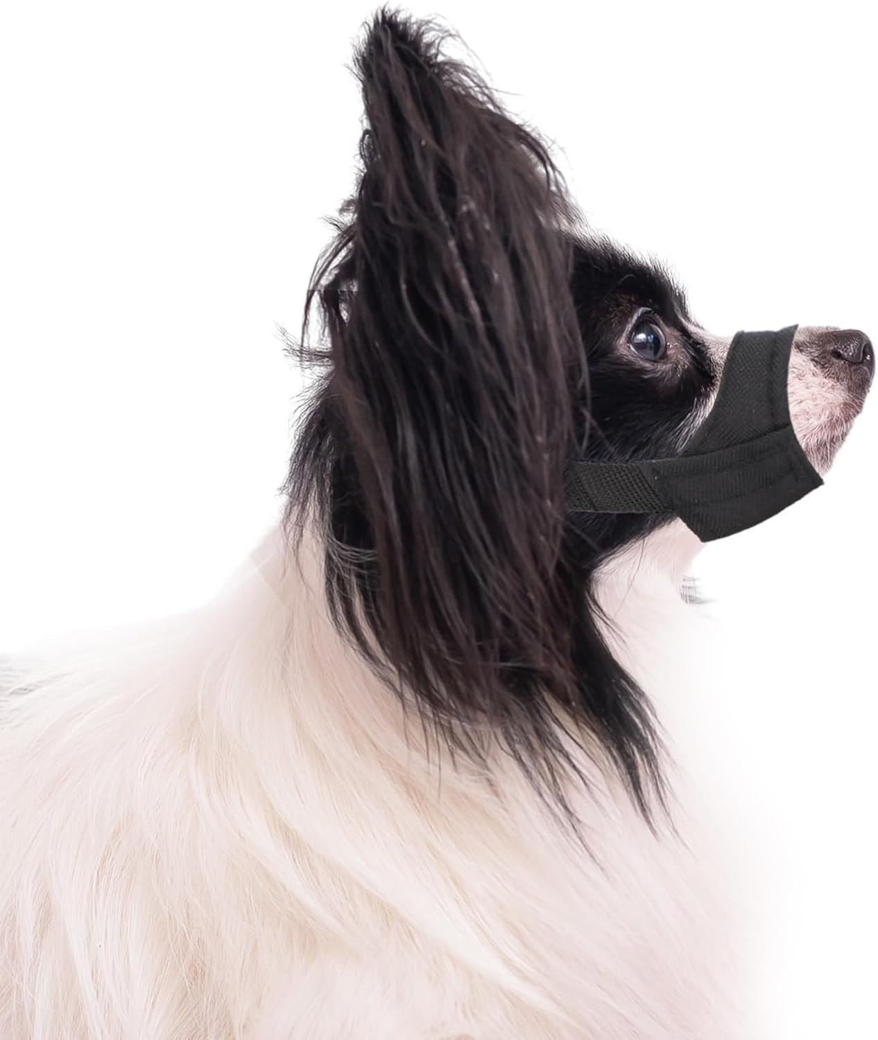 Short Snout Dog Muzzle, Dog Muzzles, for Small & Medium Dogs Breeds, Soft