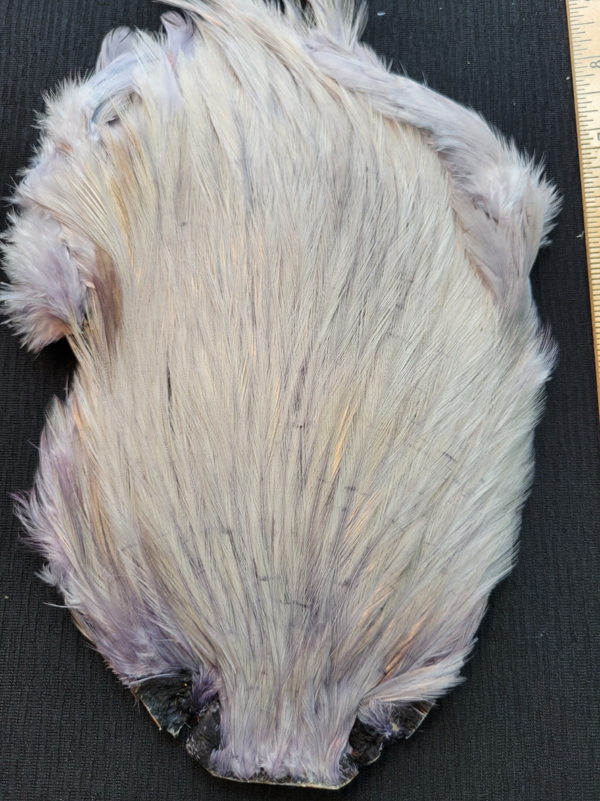 Lot 514, Dyed BLUE DUN India Rooster Streamer Neck Cape Feathers Tying