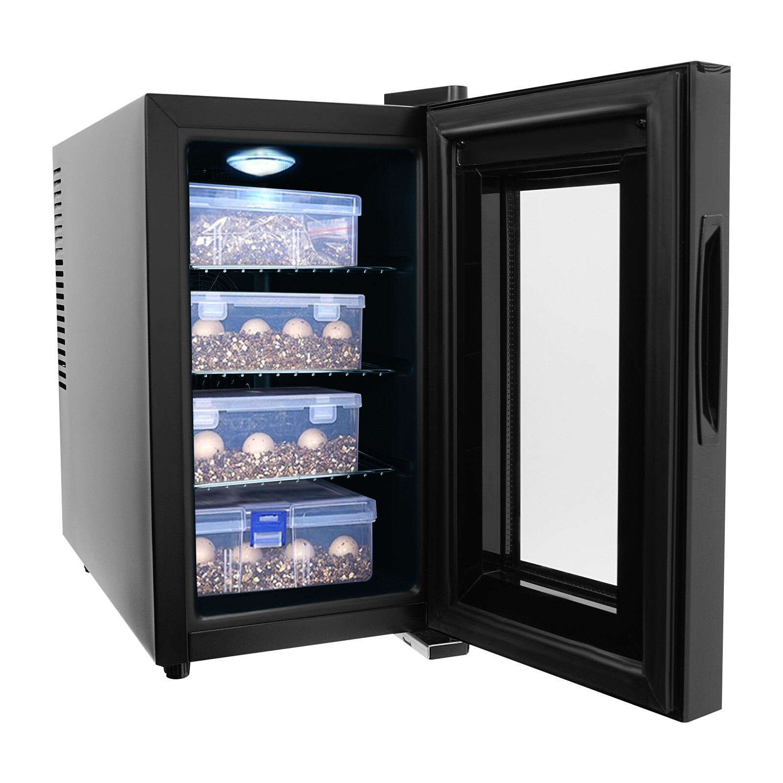 110V Automatic Digital Hatched Incubator Reptile Chameleon Lizard Egg Incubator