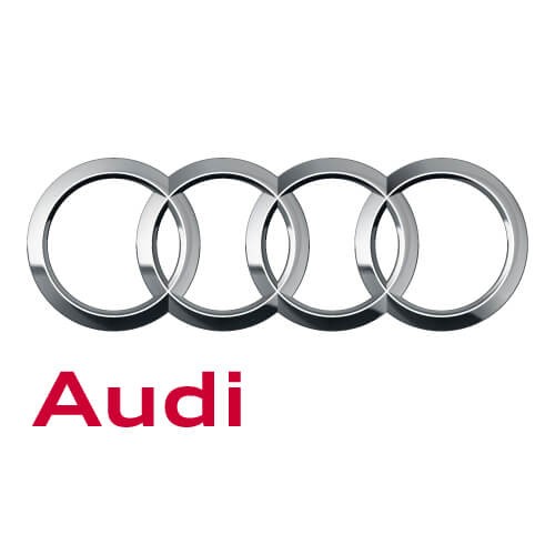 Genuine Audi Input Shaft Seal 0CP-409-189