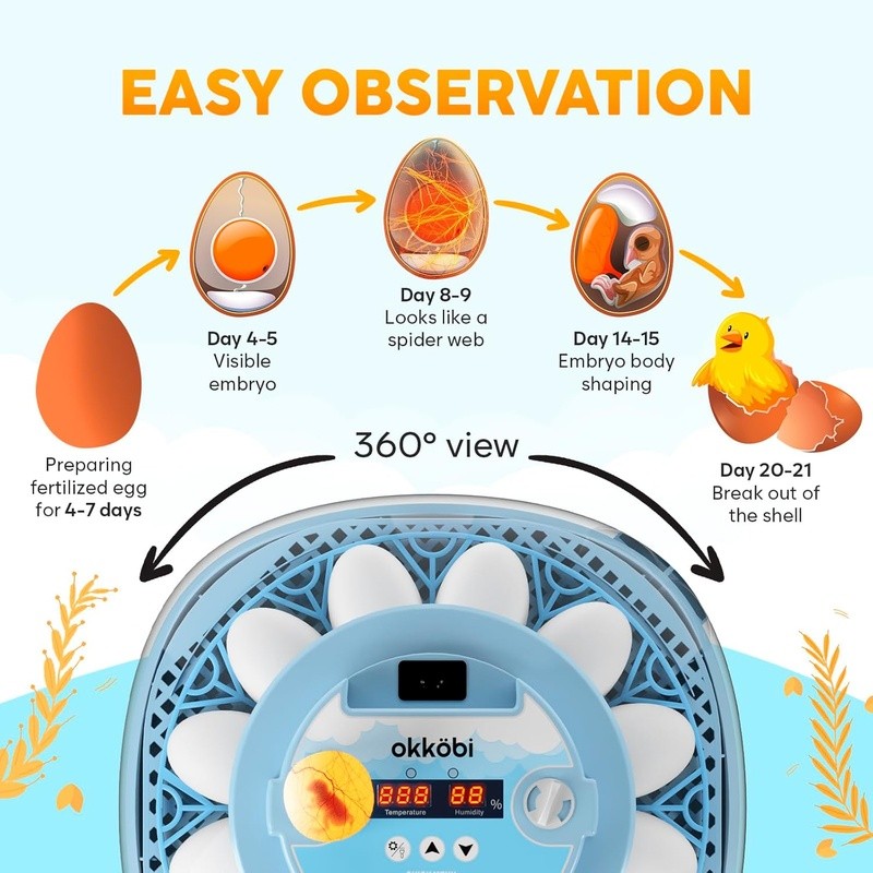 Automatic Egg Incubator Temperature Control Humidity Dual Bottles 12 Eggs New