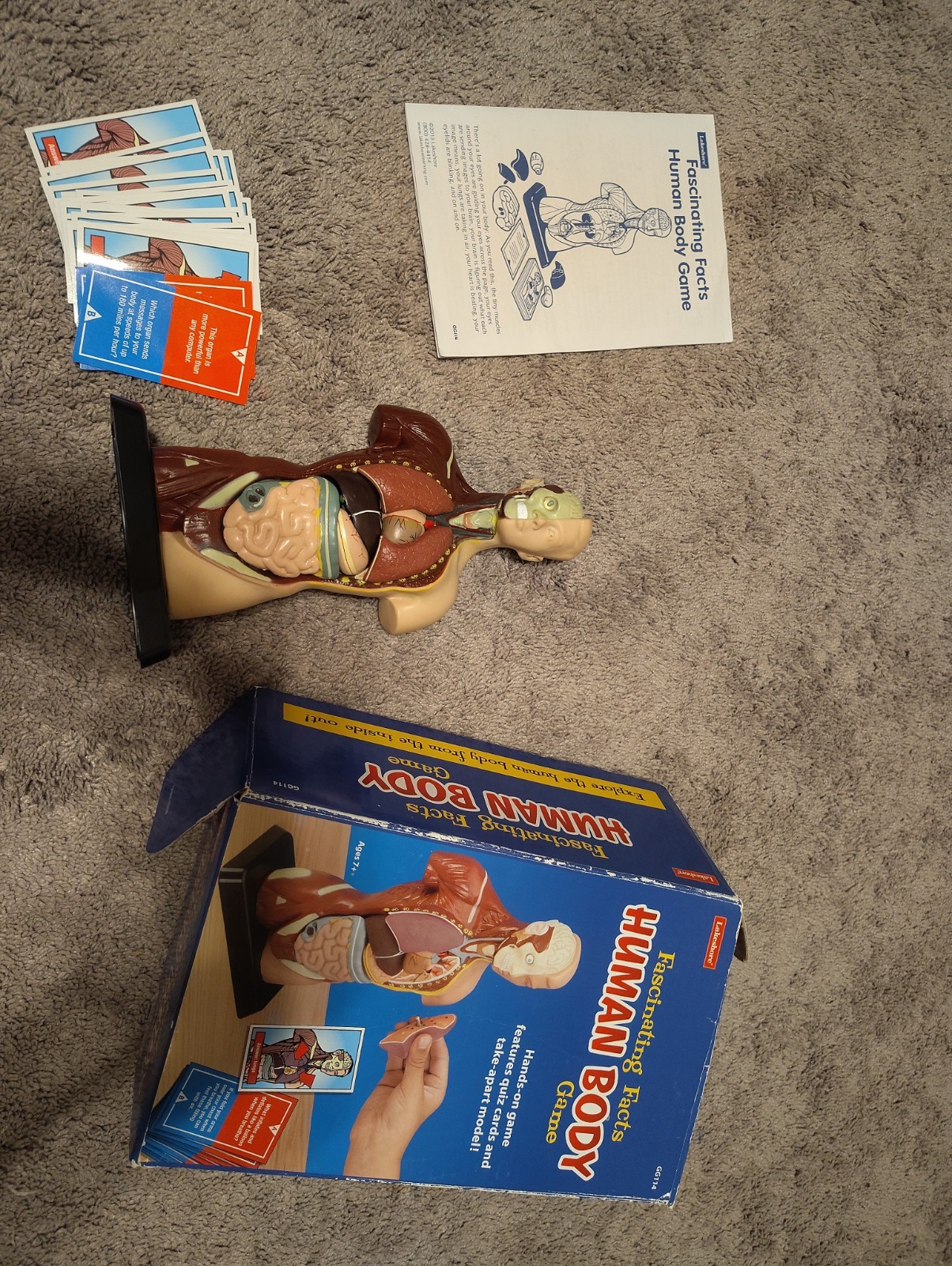 Lakeshore Fascinating Facts Human Body Game Anatomy Model & Quiz Cards Complete