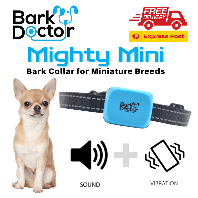 Bark Doctor Mini XXS Antibark Dog Collar CHIHUAHUA Toy Poodle Sound + Vibration
