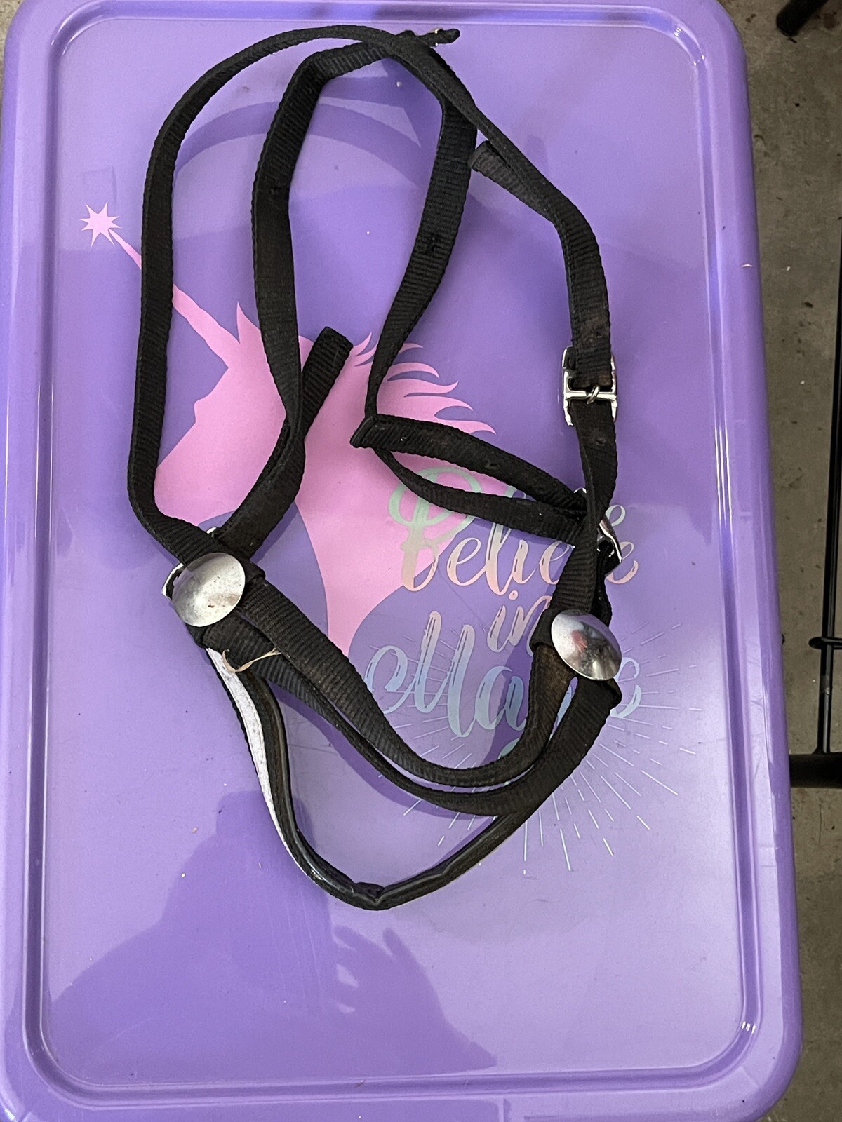 horse bridle western