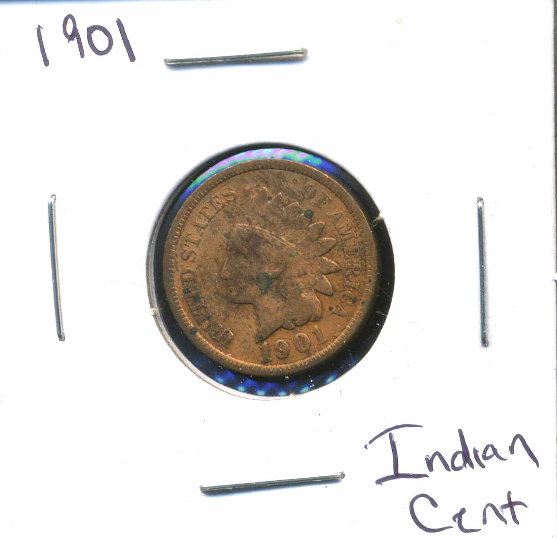 INDIAN HEAD CENT Head 1901 Circulated United States 1C PENNY 1 C Coin #6162