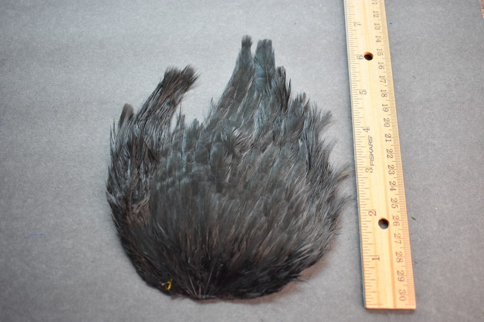 Lot 380, Dyed Black  India Hen Back Saddle Feathers for Fly Tying