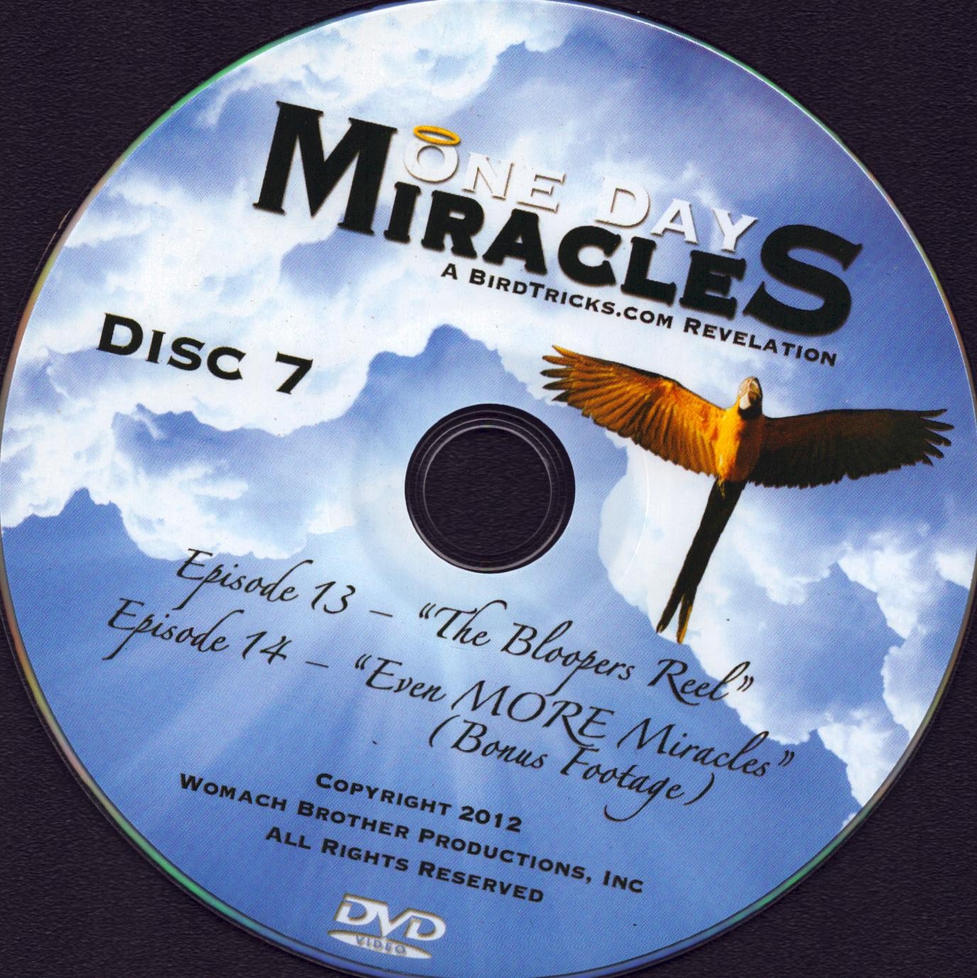 Parrot / Bird DVD One Day Miracles 7 Disc Set Training & Tricks Damaged Case