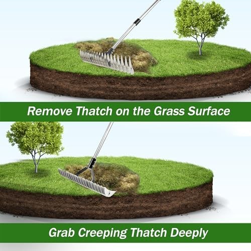 Adjustable Heavy Duty Thatch Rake - Lawn Dethatcher & Soil Rake for Garden Yard