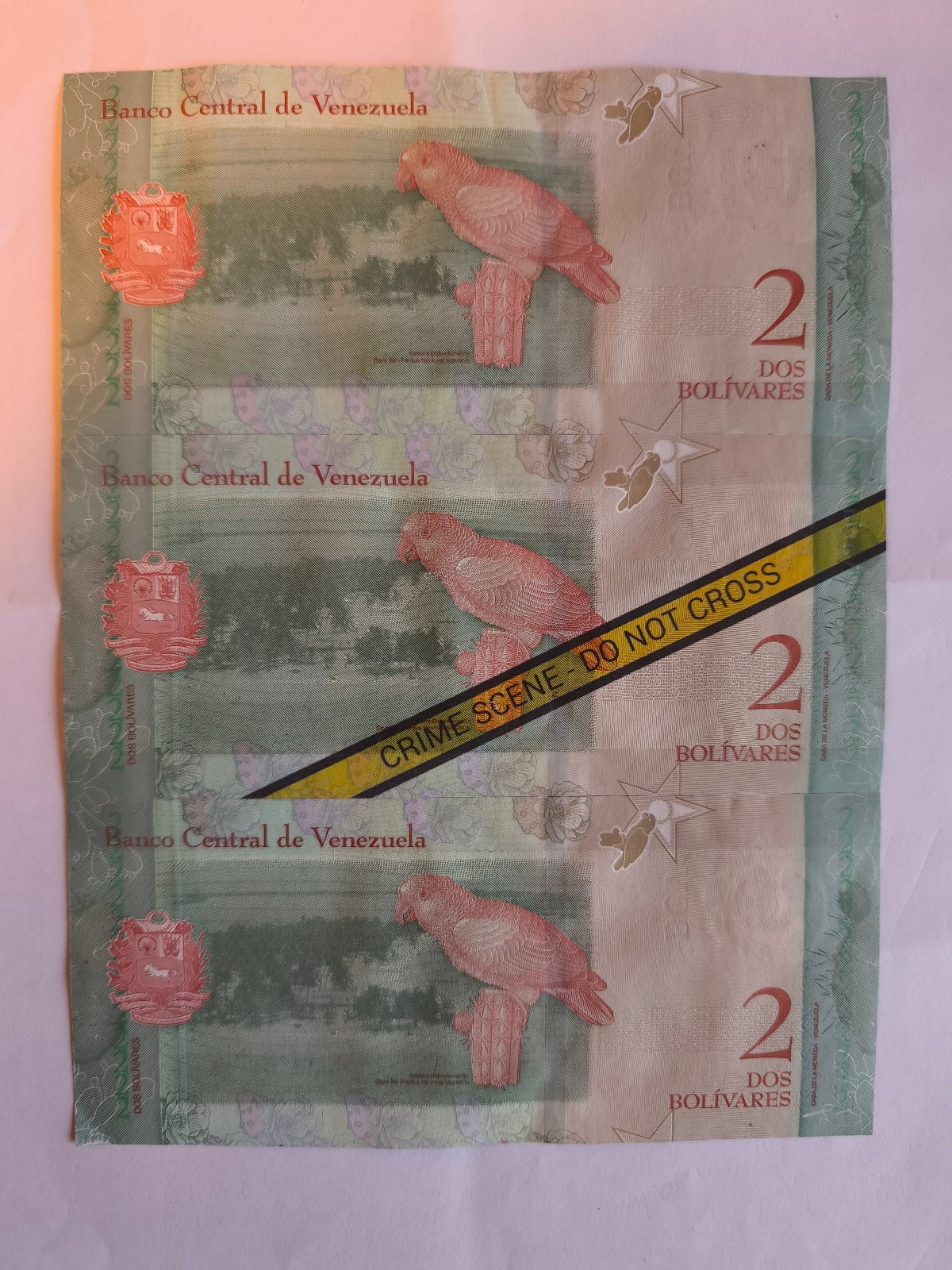 Wolfi Waeger Money Art Real Bolivar 1/1 -
