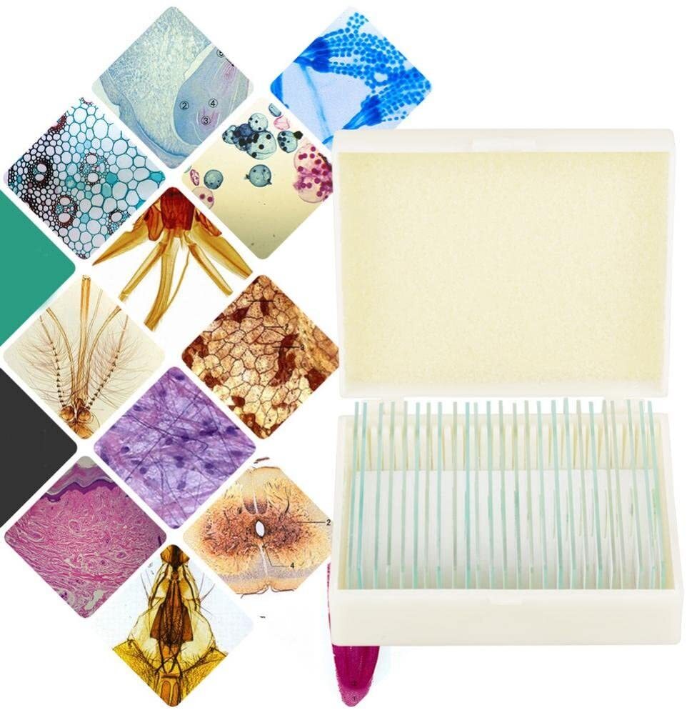 25PCS Prepared Microscope Slides Glass Biological Specimen f Student Education