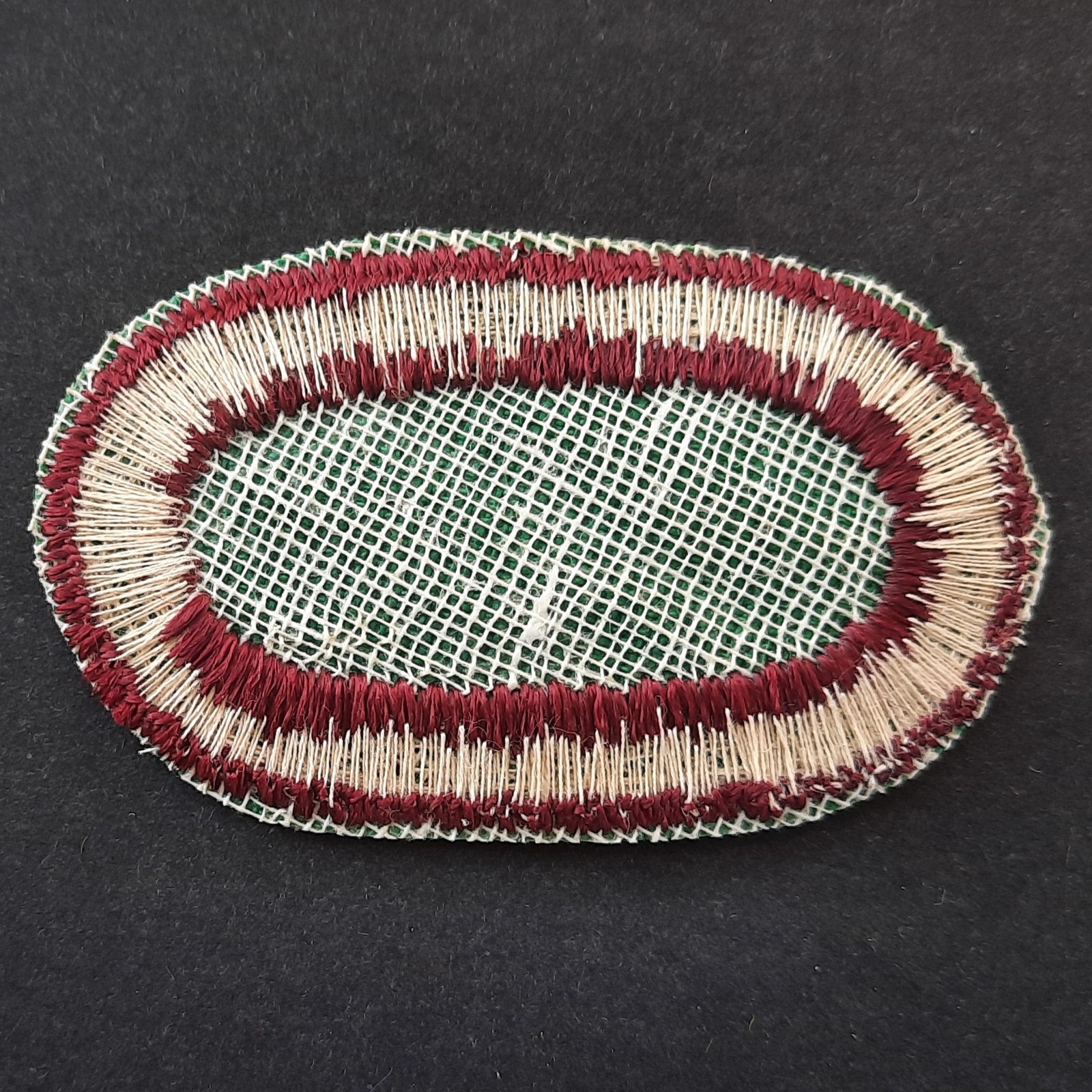 Original US Army 10 SFG Oval Patch Special Forces Group Paratrooper Cut Edge