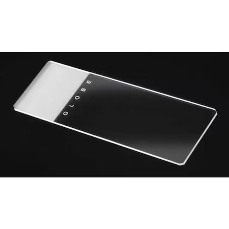 Globe Scientific 1338 Microscope Slide, Frosted, 25X75mm, Pk144