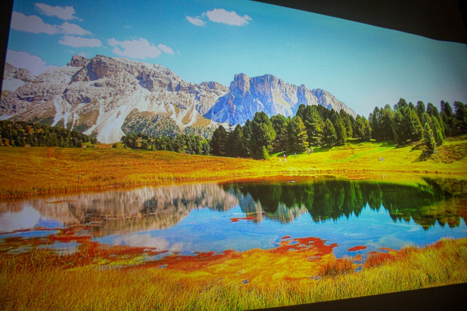 DIY Home Cinema Screen Material White Matte Spandex Fabric sold per metre