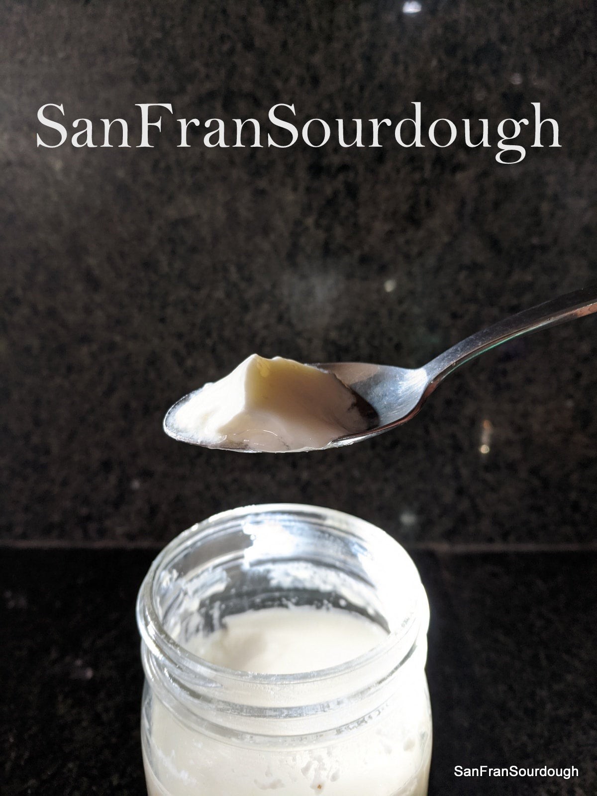 Mesophilic room temperature yogurt culture Organic Viili Culture Yogurt Starter