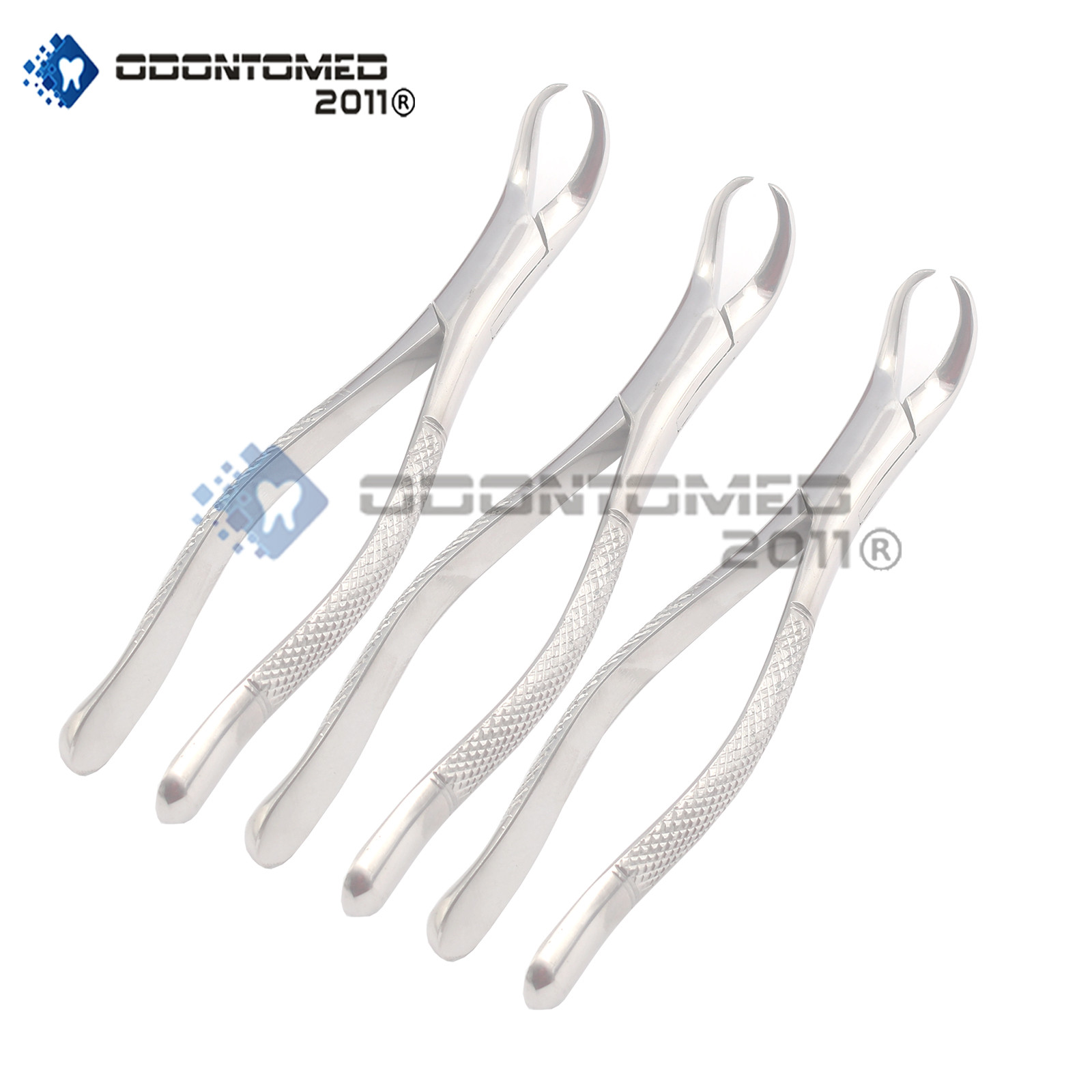 3 Pieces Extracting Forceps # 23 Dental Surgical Instruments