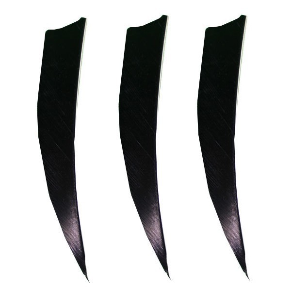 Muddy Buck Gear 5in Para RW Feathers Black 100pk