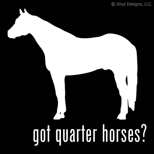 GOT QUARTER HORSES? QUARTER HORSE DECAL - STICKER
