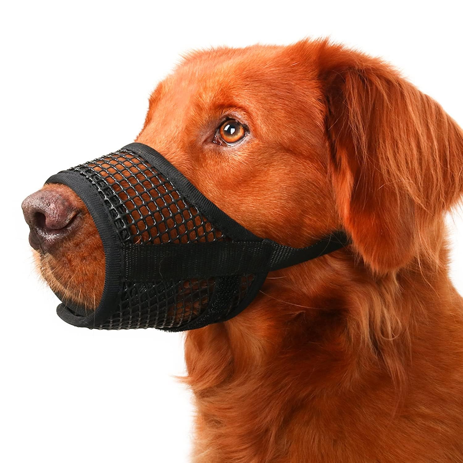 Mayerzon Dog Muzzle, Breathable Mesh Puppy Muzzles M: (Snout 9"-10¼"), Black