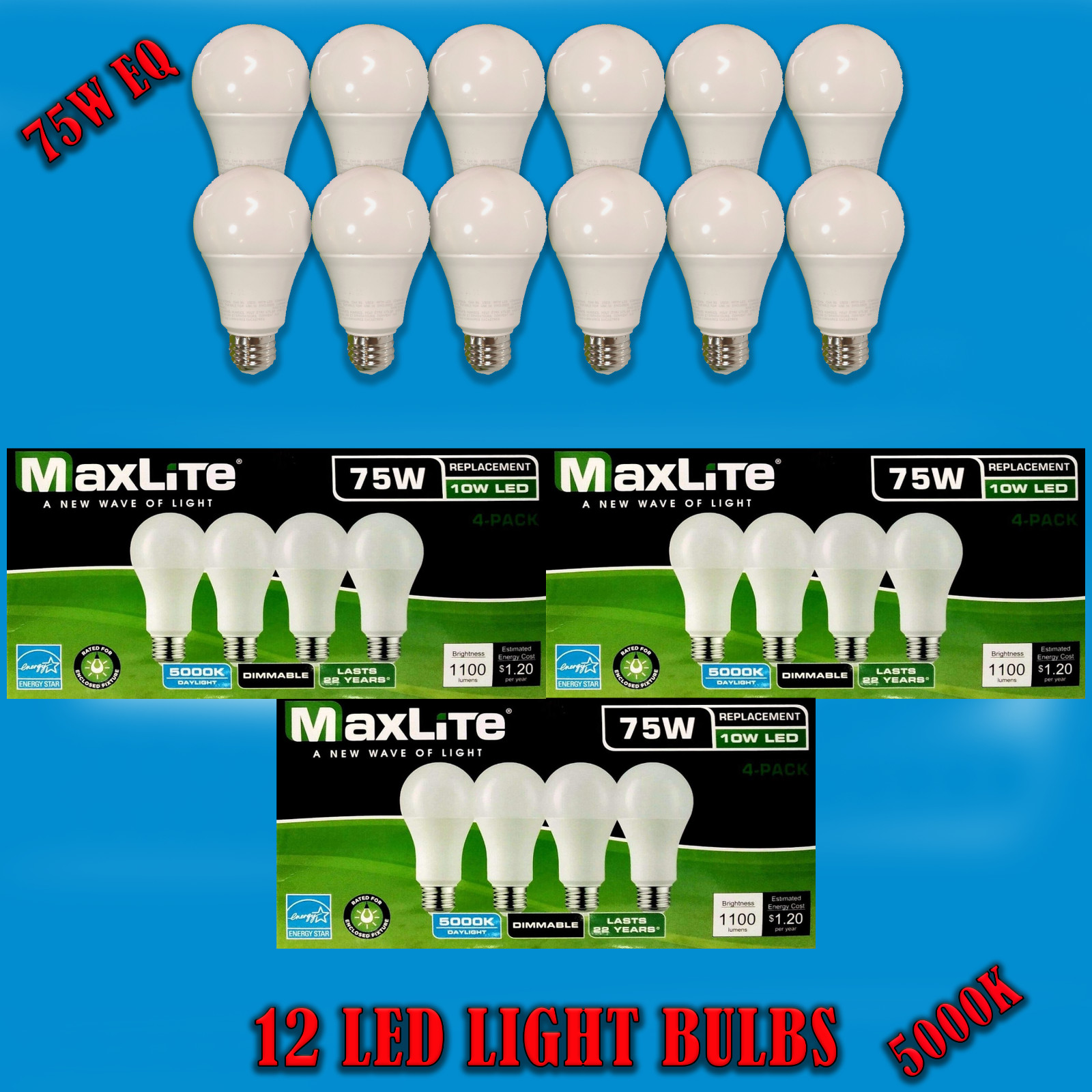 12 Pack Maxlite 75 Watt Equivalent 10W LED Bulbs A19 Cool Daylight 5000K Light