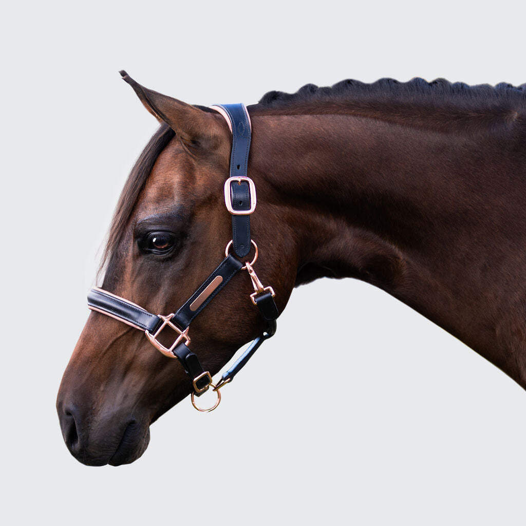 'Hollywood' leather halter