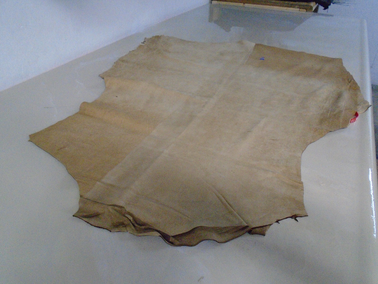 Suede Sheep Leather  # 0018424 Row XX