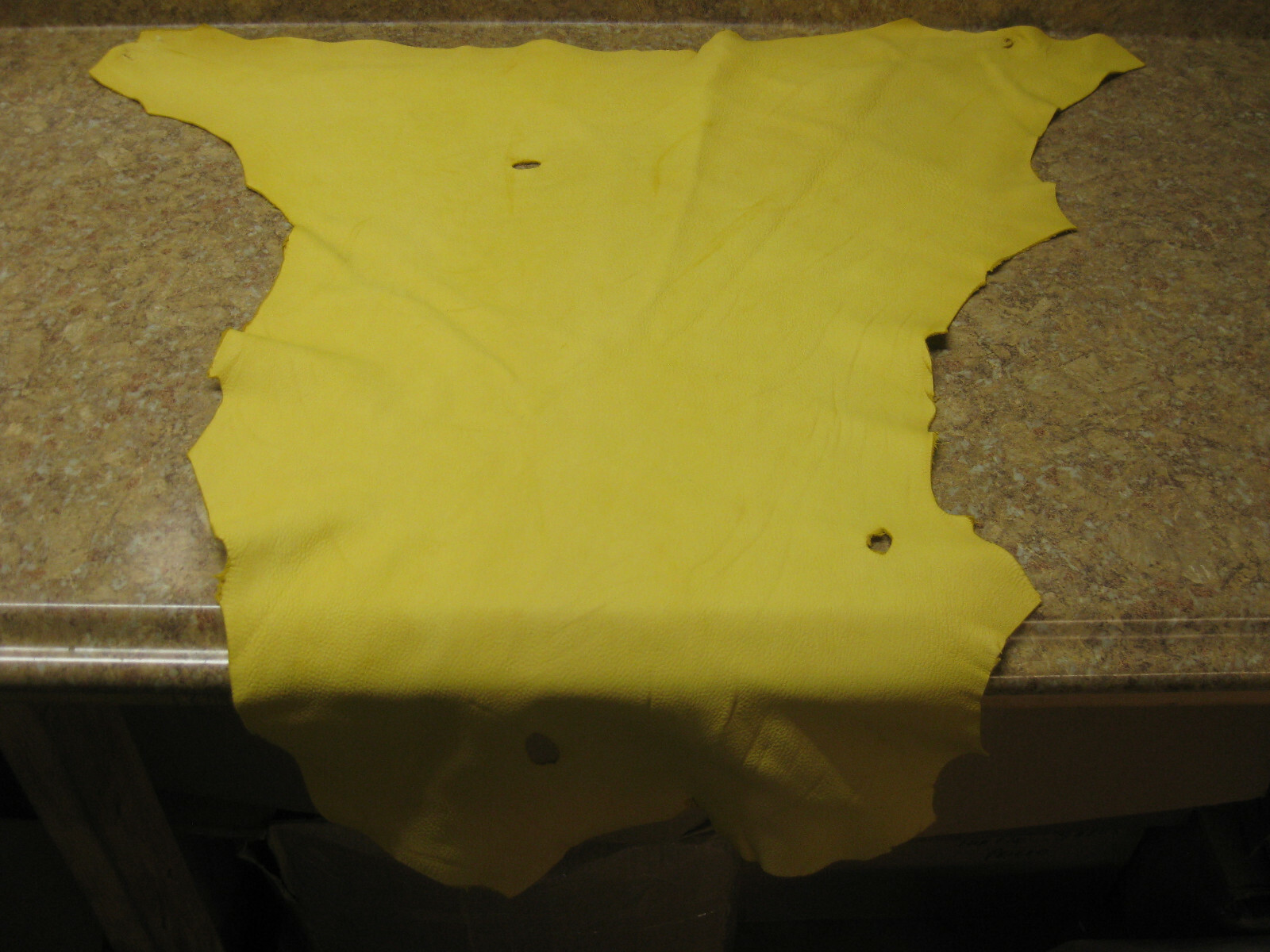 Gold Top Grain Deer Leather #0008680 R 36