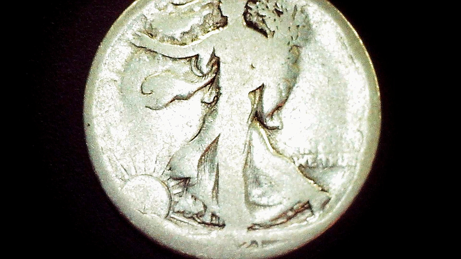1921 s 50c silver half dollar NGC graded coin