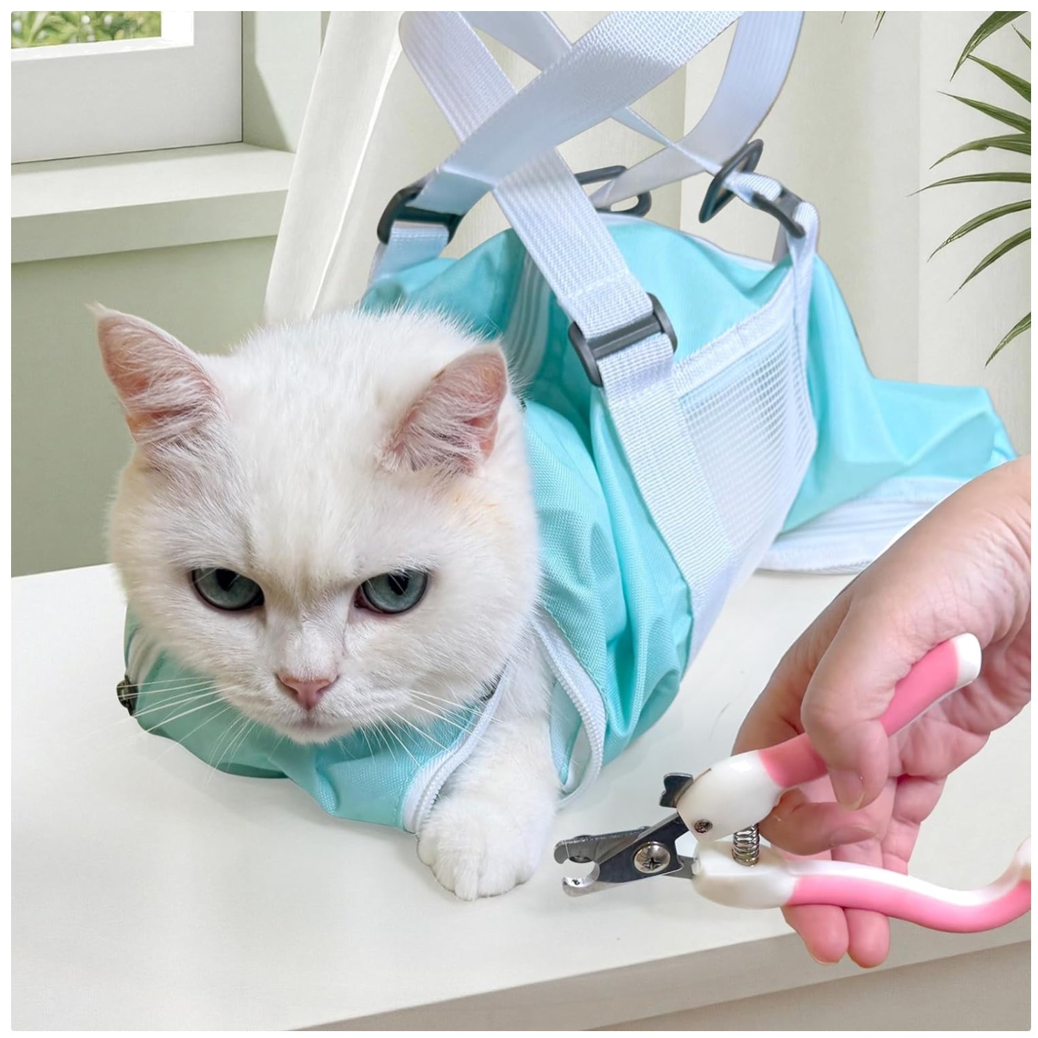 Comfortable Cat Restraint Bag for Grooming - Mint, M