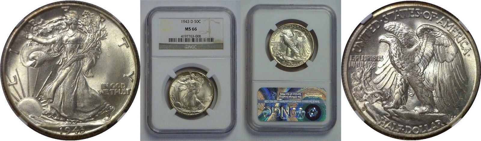 1943-D Walking Liberty Half Dollar   NGC MS-66