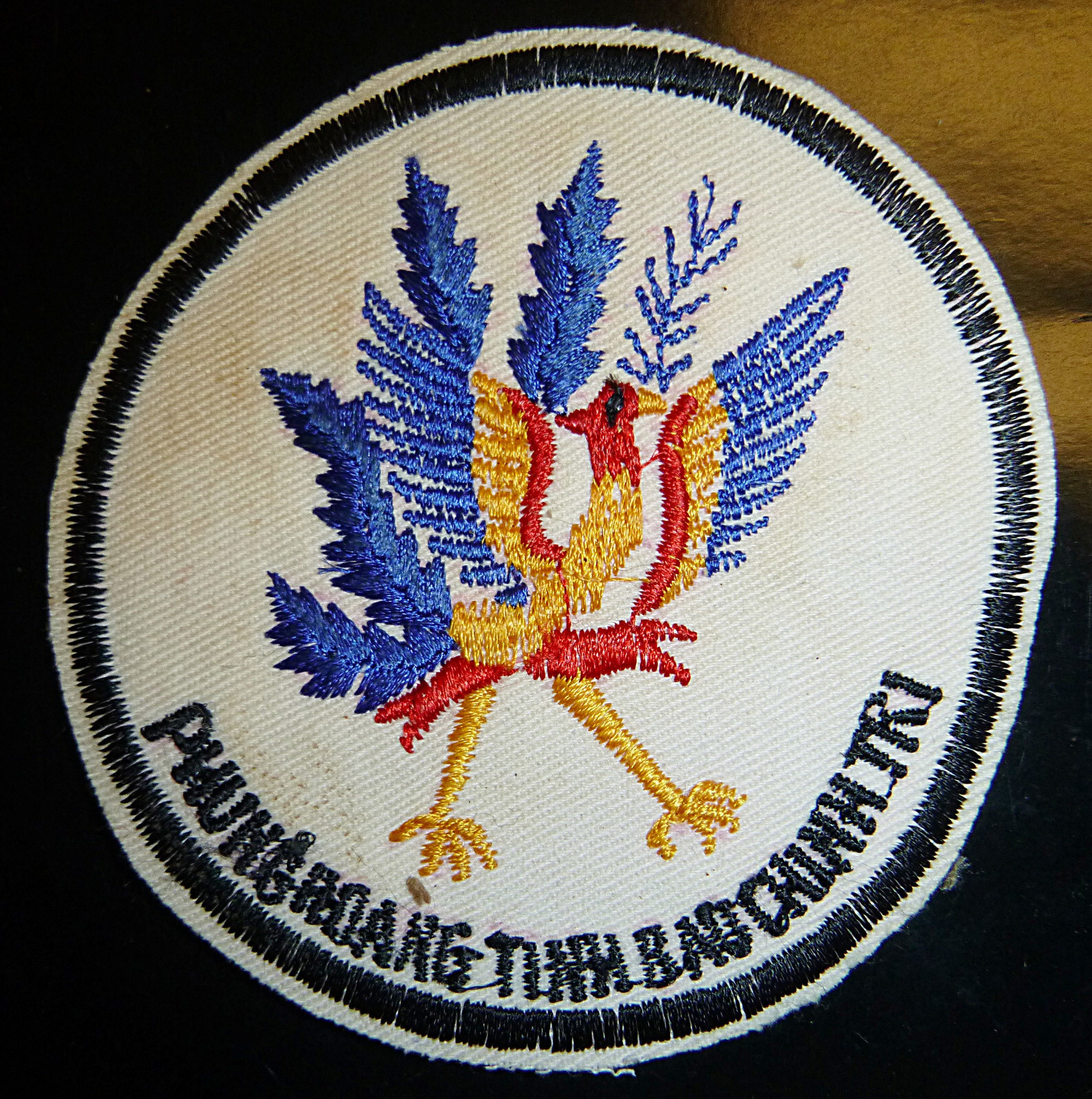 Rare Original Patch - CIA - PHOENIX ASSASSINATION PROGRAM - Vietnam War - #.360