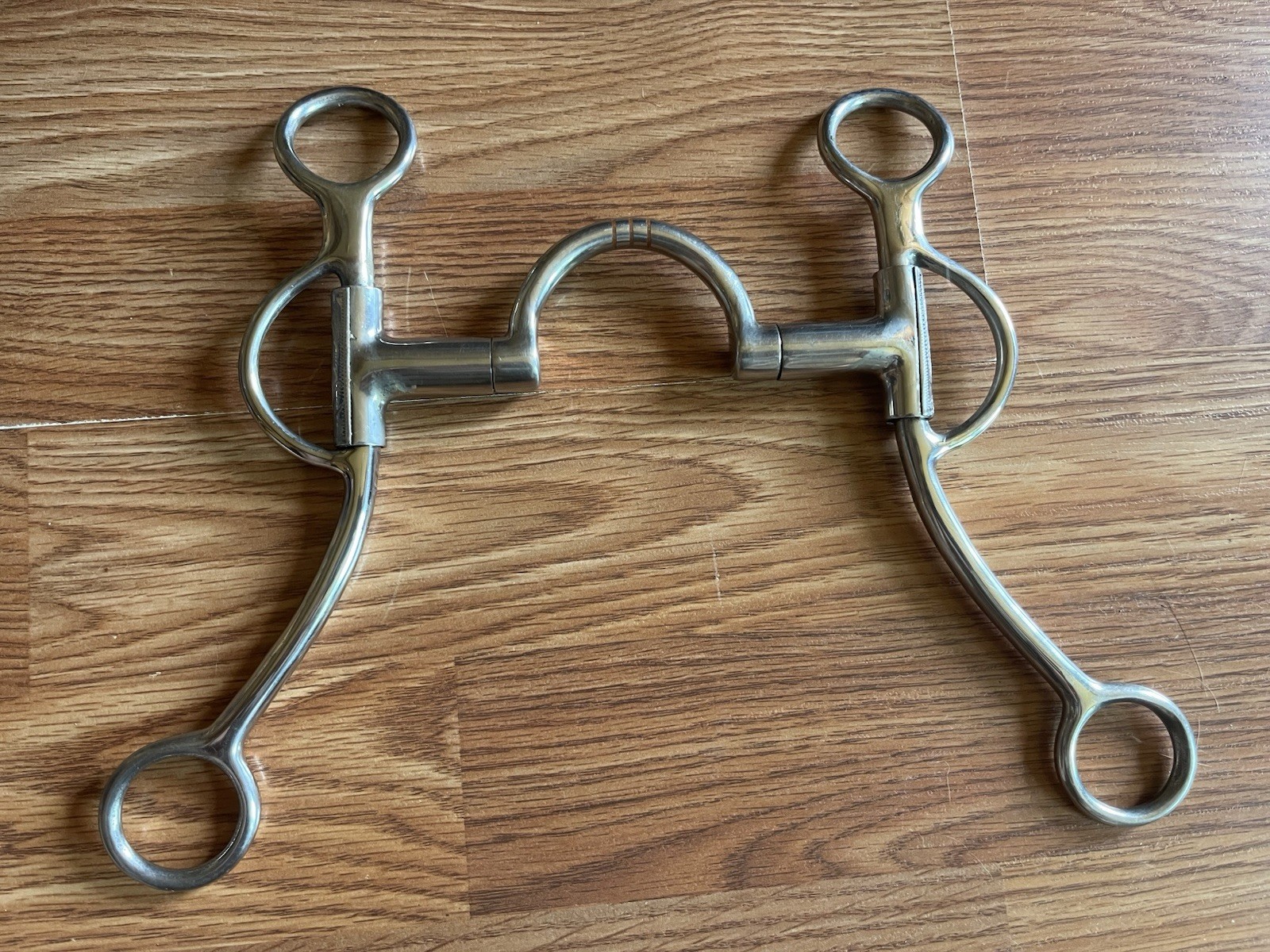 Metalab 5” Spring Loaded Western Correction Bit Small Silver Side