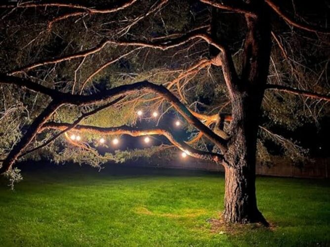 LED Shatterproof String Lights Commercial Grade with 15 Hanging Sockets 48FT