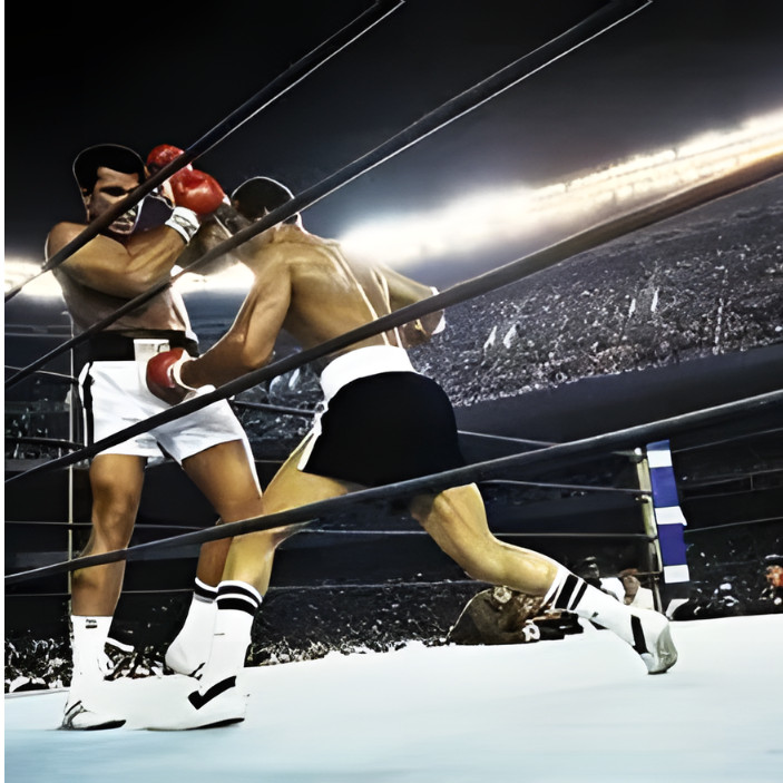 Ali vs Norton Boxing Fighst DVD Trilogy all three full fights on DVD